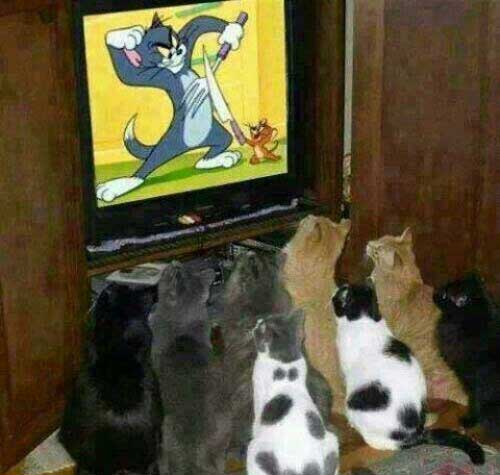 جوک باحال فیسبوکی