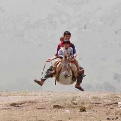جوک باحال خنده دار