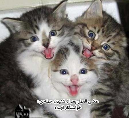 جک باحال خنده دار