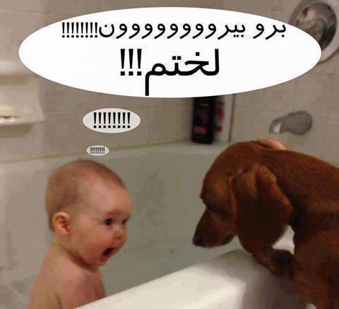 جک جدید