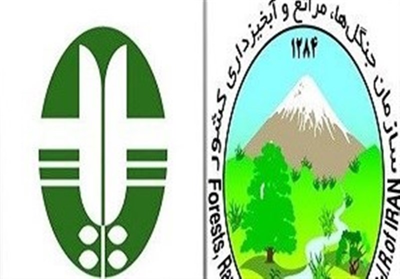 دو سازمان حفاظت از محیط زیست و جنگل ها