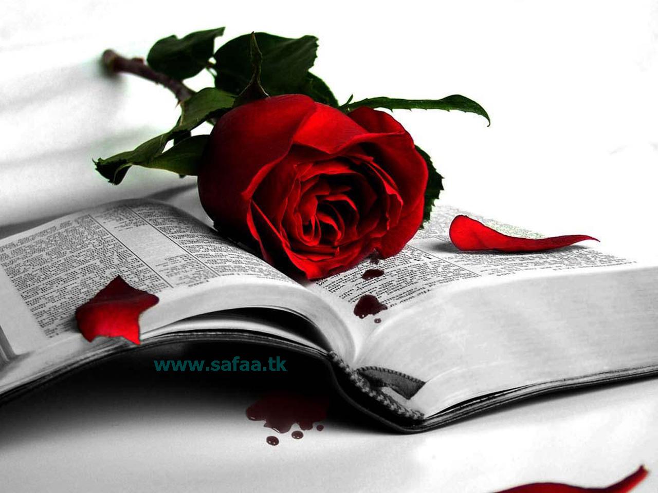 شعر کوتاه