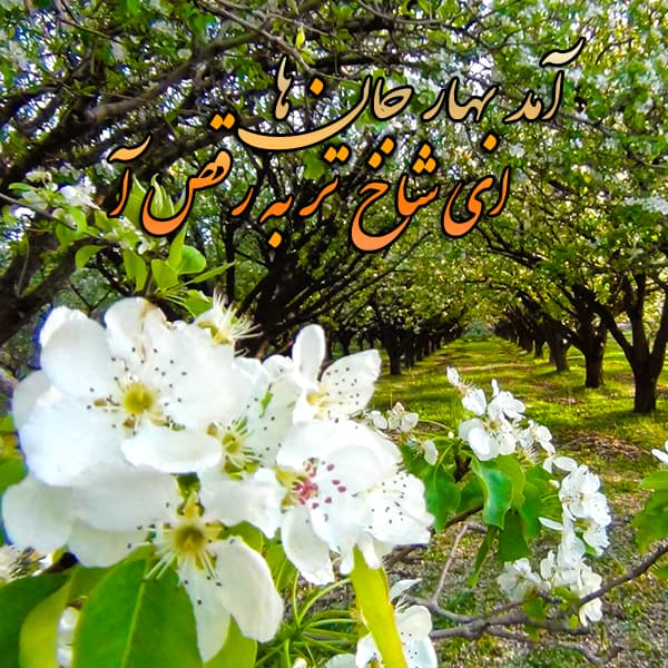 داستان های کودکانه از نوروز